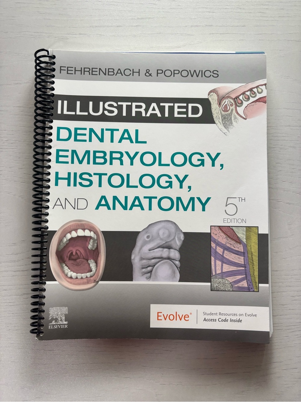 Illustrated Dental Embryology, Histology, and Anatomy - 5th Edition